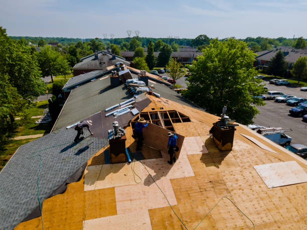 Roof Gutter Cleaning in East Quincy, CA
